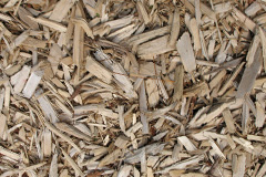 biomass boilers Tandridge